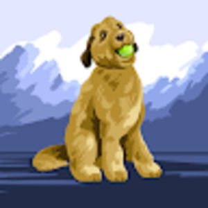 Meet your Posher, Tracey